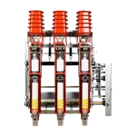 Vacuum Load Switch FZN25-12D/630-20